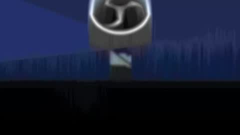 bear online show from 01/11/26, 11:10