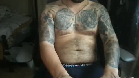 Bearcito online show from 05/08/26, 10:04