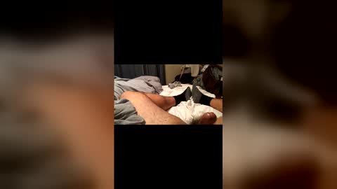 beaverwatcher online show from 04/12/26, 01:32