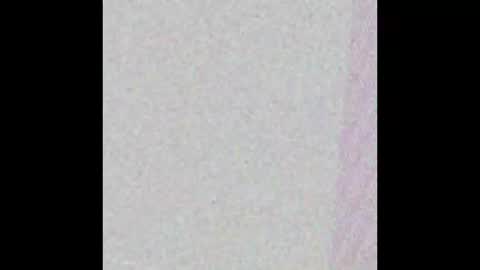 Snapshot of bedstuymonstercock90 chatting on 11/01/25, 07:49 hungnheavy online show from 11/01/25, 07:49