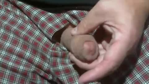  Reservoir Dogs online show from 11/13/25, 05:45