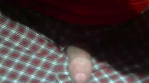  Reservoir Dogs online show from 02/05/26, 12:48