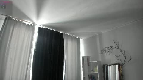 Bella online show from 02/05/26, 08:52