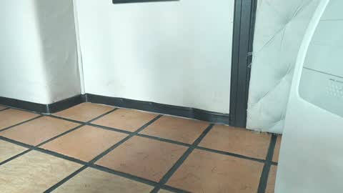    online show from 12/19/24, 01:51