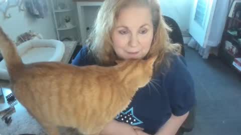 Bellavoca online show from 04/11/26, 06:01