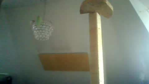 benizio online show from 01/15/25, 10:38