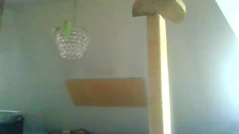 benizio online show from 01/30/25, 11:01