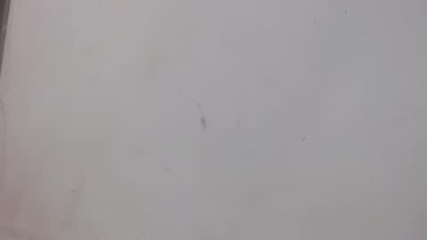 Snapshot of bergon30 chatting on 02/01/25, 01:02 Bergon77 online show from 02/01/25, 01:02