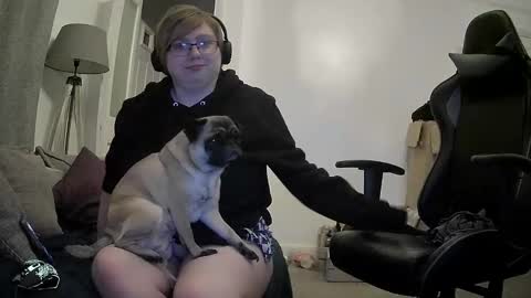 Calico online show from 12/06/24, 04:38