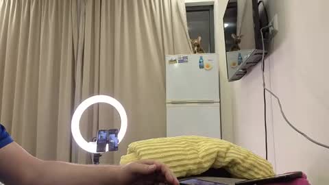 best_ass2000 online show from 05/14/26, 06:58