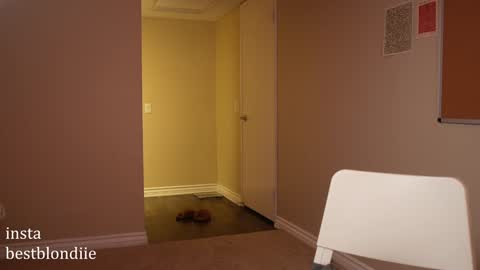 Chloe Next stream on Friday online show from 12/14/24, 11:34