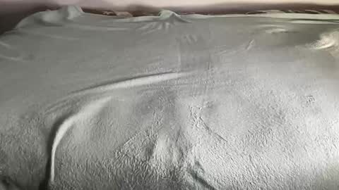 BEST online show from 01/11/26, 05:40