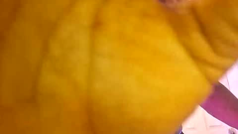 bestwithwords online show from 06/07/26, 10:57