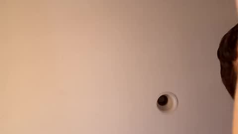 Snapshot of bgiamba21 chatting on 10/16/25, 03:40 bgiamba21 online show from 10/16/25, 03:40