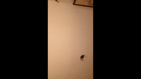 bgiamba21 online show from 03/14/26, 06:19