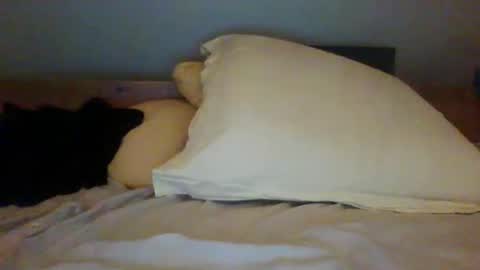 Snapshot of bibipheuck chatting on 11/13/25, 12:04 bibipheuck online show from 11/13/25, 12:04