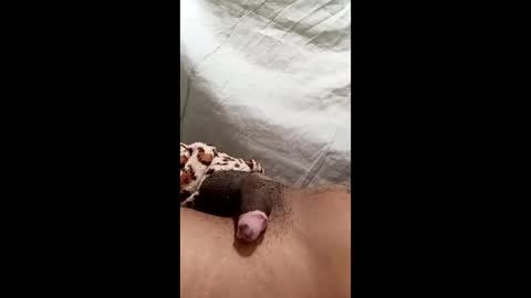 biel369737 online show from 03/02/26, 04:36