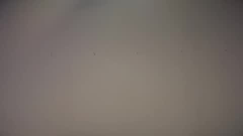 Snapshot of biff_beaverhausen chatting on 11/01/25, 11:34 Biff Beaverhousen online show from 11/01/25, 11:34