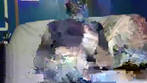 big9inchsnake online show from 12/09/24, 10:20