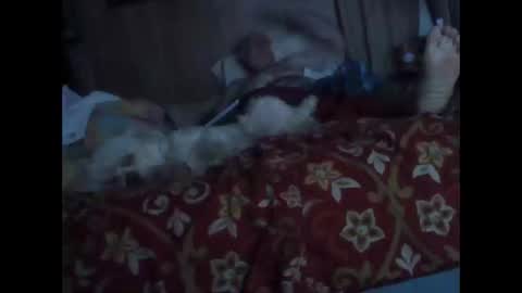 BB online show from 10/20/25, 01:28