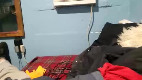 bigblu659 online show from 01/09/25, 12:35