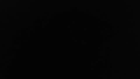 Snapshot of bigboyjinn chatting on 12/24/24, 11:33 Jinn online show from 12/24/24, 11:33