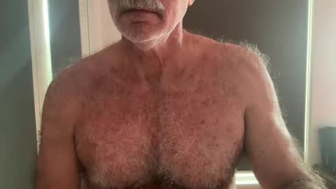 big bush online show from 05/19/26, 01:56