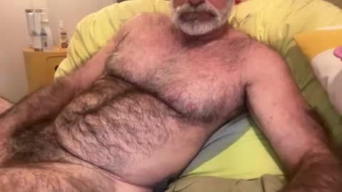 big bush online show from 07/11/26, 08:39