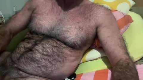 big bush online show from 07/14/26, 08:52