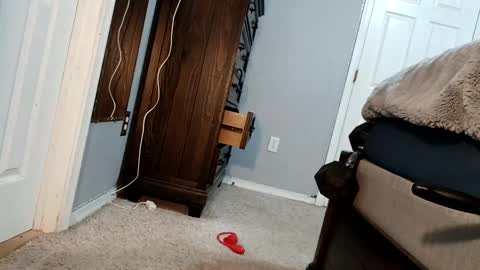 Snapshot of bigcockdaddy247 chatting on 12/17/24, 05:07 bigcockdaddy247 online show from 12/17/24, 05:07