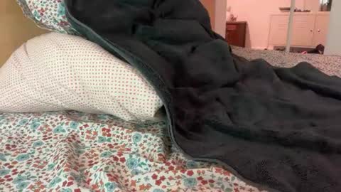 bigcollegecock69690 online show from 06/24/26, 09:36