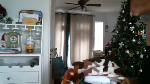 bg online show from 01/01/25, 07:53