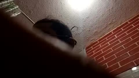 Snapshot of bigdaddy1231995 chatting on 10/28/25, 09:24 BigDaddykodack online show from 10/28/25, 09:24