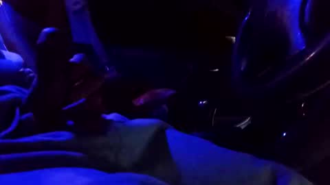 bigdiccbrannn online show from 02/09/25, 12:52