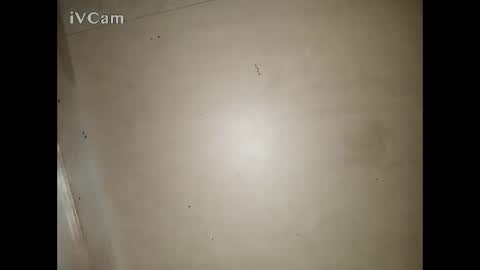 Big online show from 03/13/26, 03:29