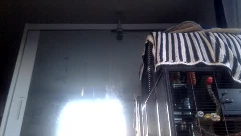 bigdickdangles472924 online show from 09/19/25, 06:08