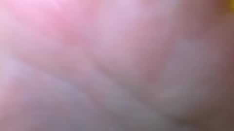 bigdickitalian137 online show from 09/29/25, 08:35