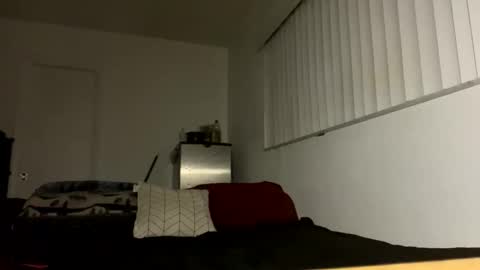 bigdickpapishampoo online show from 12/17/25, 06:19