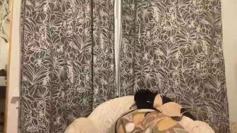 bigdickwalkin online show from 02/15/26, 02:41