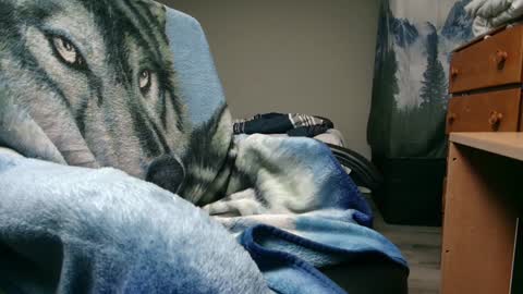 George Forest Dickyduby on all Socials online show from 12/09/24, 05:40