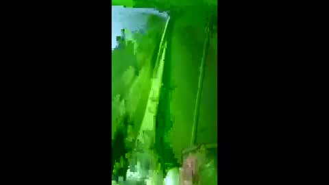 bigdog9thick online show from 12/03/25, 07:27