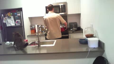 BigWilly online show from 10/01/25, 09:54