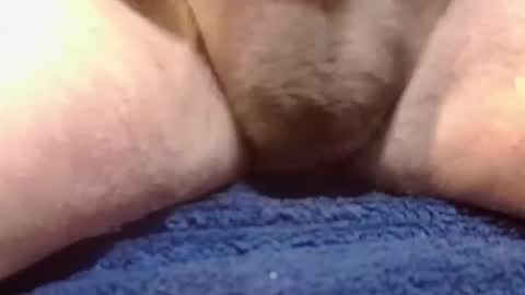 BigDog online show from 02/10/25, 02:26