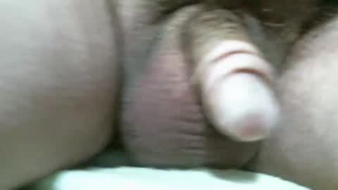 BigDog online show from 11/11/25, 07:03