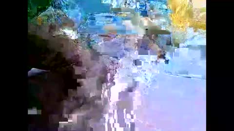 Mr Alpha online show from 12/11/24, 02:41