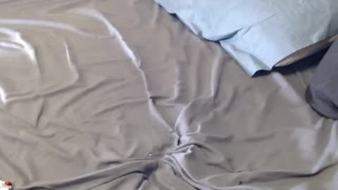 Snapshot of bigfeet420 chatting on 01/12/25, 06:17 Bigandthick online show from 01/12/25, 06:17