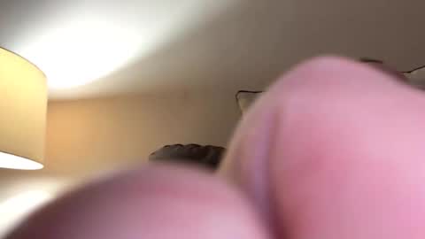 biggloves4bighands online show from 11/16/25, 12:05