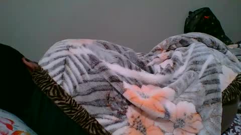 bighandsomesatisfy online show from 01/06/25, 08:18