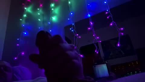 bigmerm333 online show from 07/13/26, 07:00
