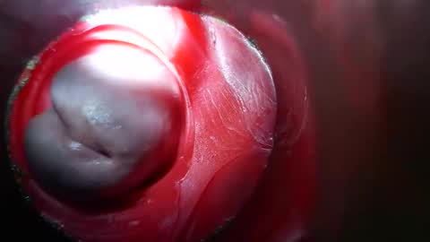 bigmoneycorey online show from 03/10/26, 03:50